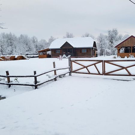 Вилла Kuca Za Odmor Jopi I Mare Topusko Экстерьер фото