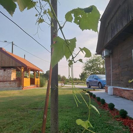 Вилла Kuca Za Odmor Jopi I Mare Topusko Экстерьер фото
